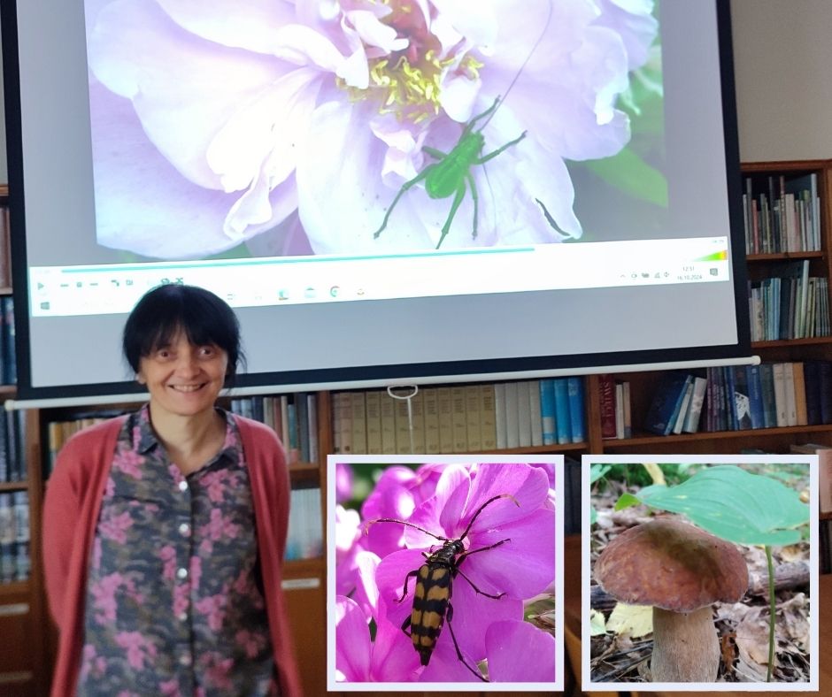 Jola Canva